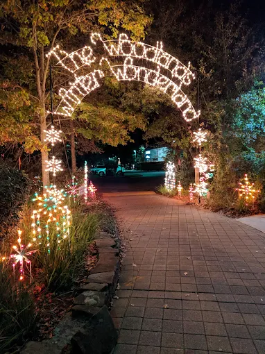 Luxury Group Transportation for Houston Concerts and Events