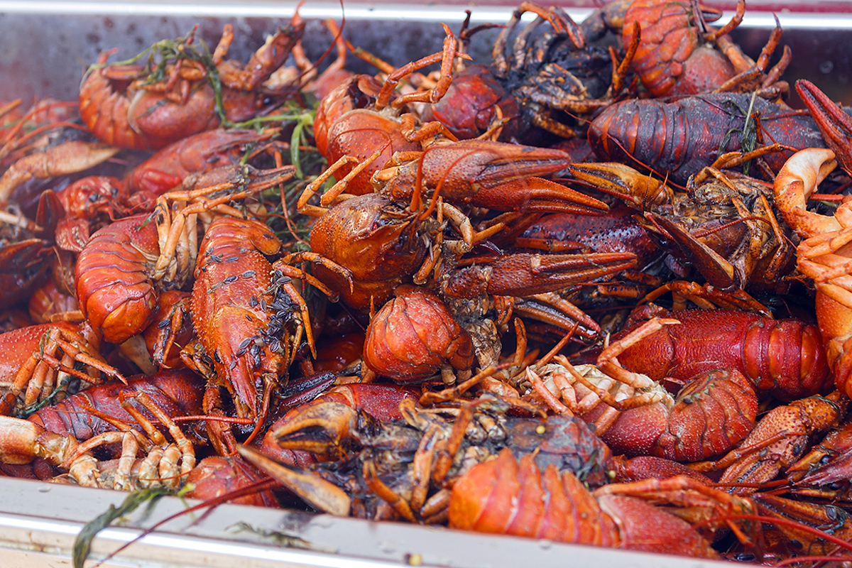 Crawfish Fest event with luxury transportation provided by C&S Executive
