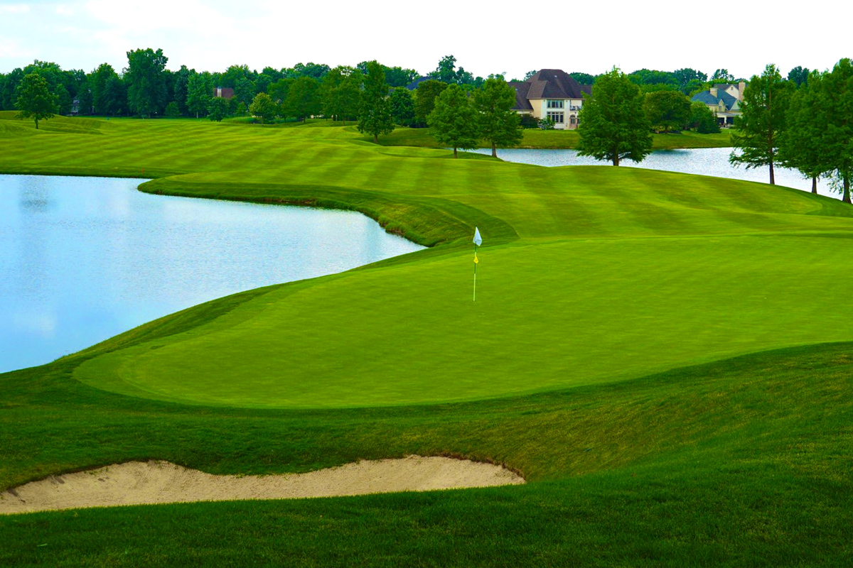 Wedge Gold experience with luxury transportation provided by C&S Executive