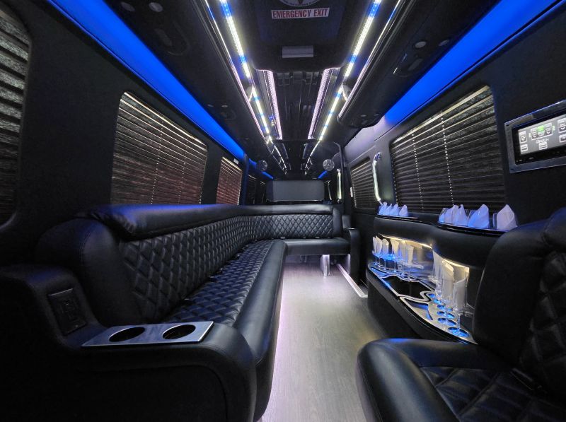 Luxury_CNS Limo-12pax Limo Sprinter copy 4