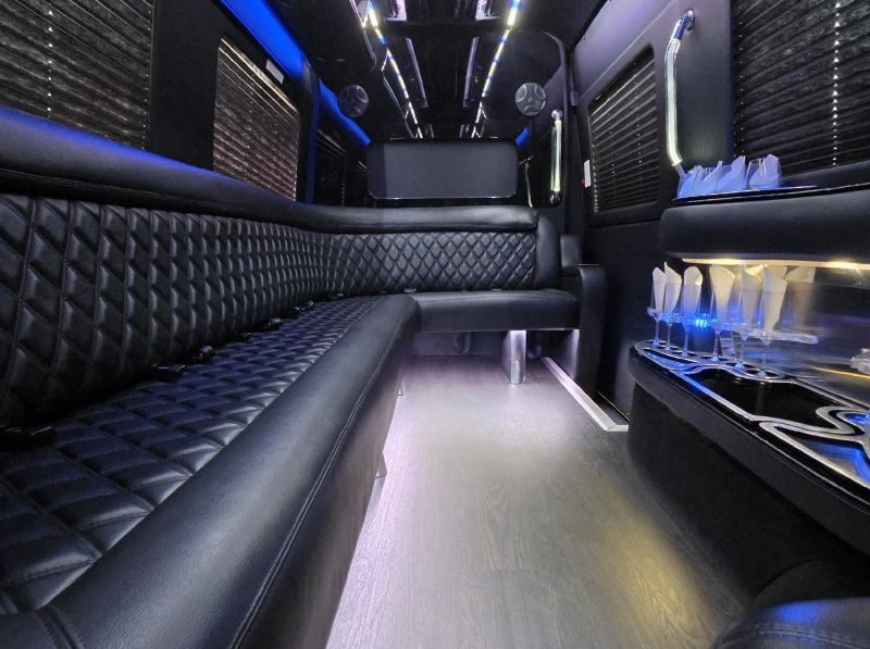 Luxury_CNS Limo-12pax Limo Sprinter copy 8