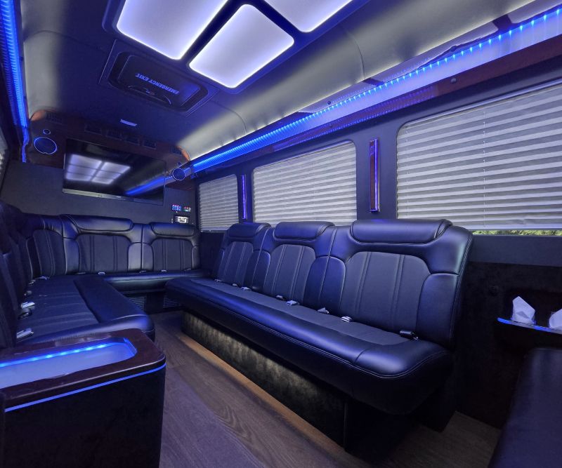 Premium_CNS Limo-14pax Sprinter Van copy 11