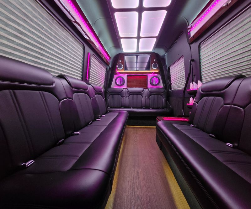 Premium_CNS Limo-14pax Sprinter Van copy 13